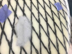 �G�|�L�V EPS Agency 64_2